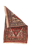 Area Rug 2726