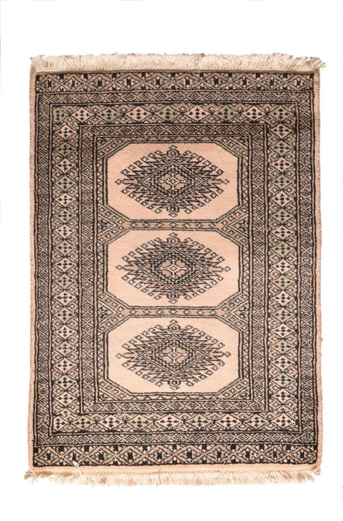 Area Rug 2741