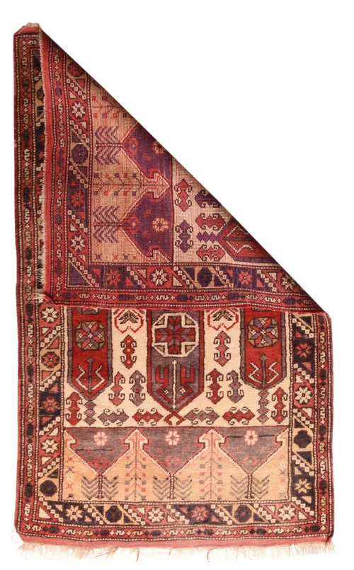 Area Rug 2764