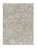 Area Rug 2800