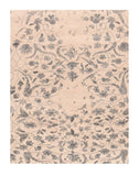 Area Rug 2801