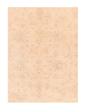 Area Rug 2804