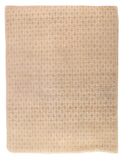 Area Rug 2805