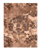 Area Rug 2808