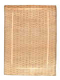 Area Rug 2815