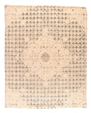 Area Rug 2826