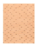 Area Rug 2828