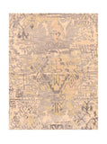 Area Rug 2833