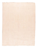 Area Rug 2844