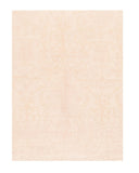 Area Rug 2844