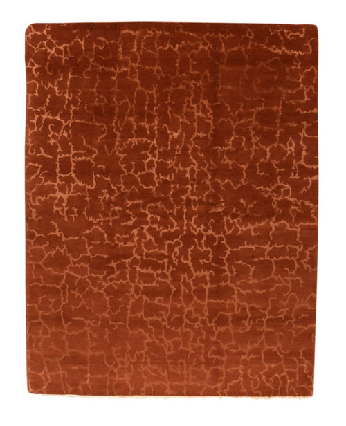 Area Rug 2858