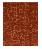 Area Rug 2858