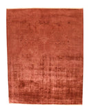 Area Rug 2862