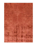 Area Rug 2862