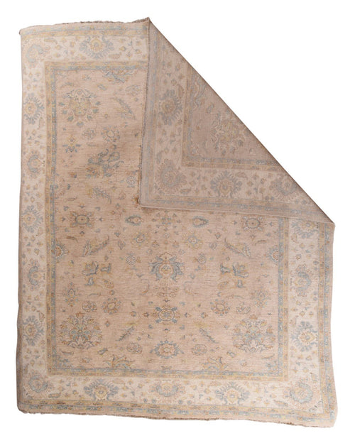 Area Rug 2863