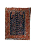 Area Rug 2864