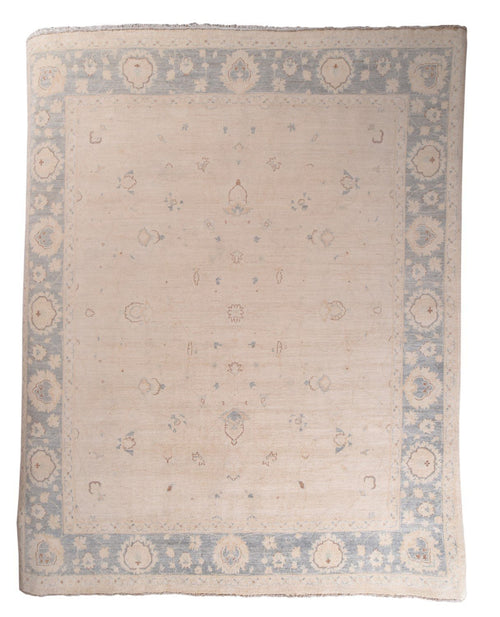 Area Rug 2867