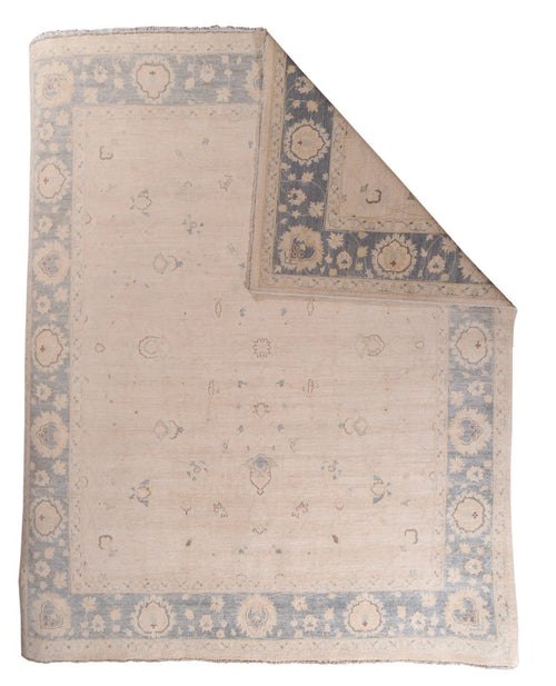 Area Rug 2867