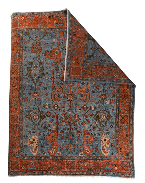 Area Rug 2869