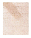 Area Rug 2882