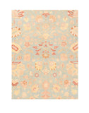 Area Rug 2905