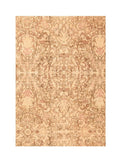 Area Rug 2906