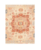 Area Rug 2911