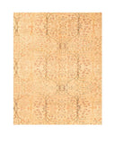 Area Rug 2916