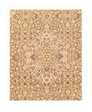 Area Rug 2921