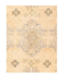 Area Rug 2922