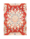 Area Rug 2924