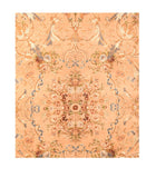 Area Rug 2972