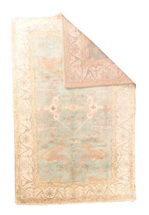 Area Rug 2981