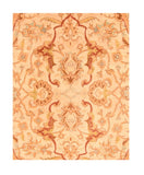 Area Rug 3007