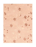 Area Rug 3029