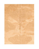 Area Rug 3030