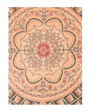 Area Rug 3034