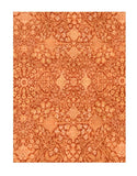 Area Rug 3035