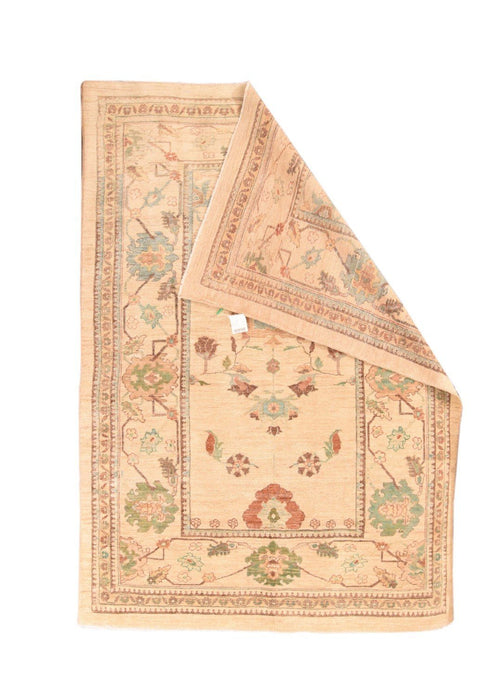 Area Rug 3037