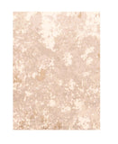 Area Rug 3084