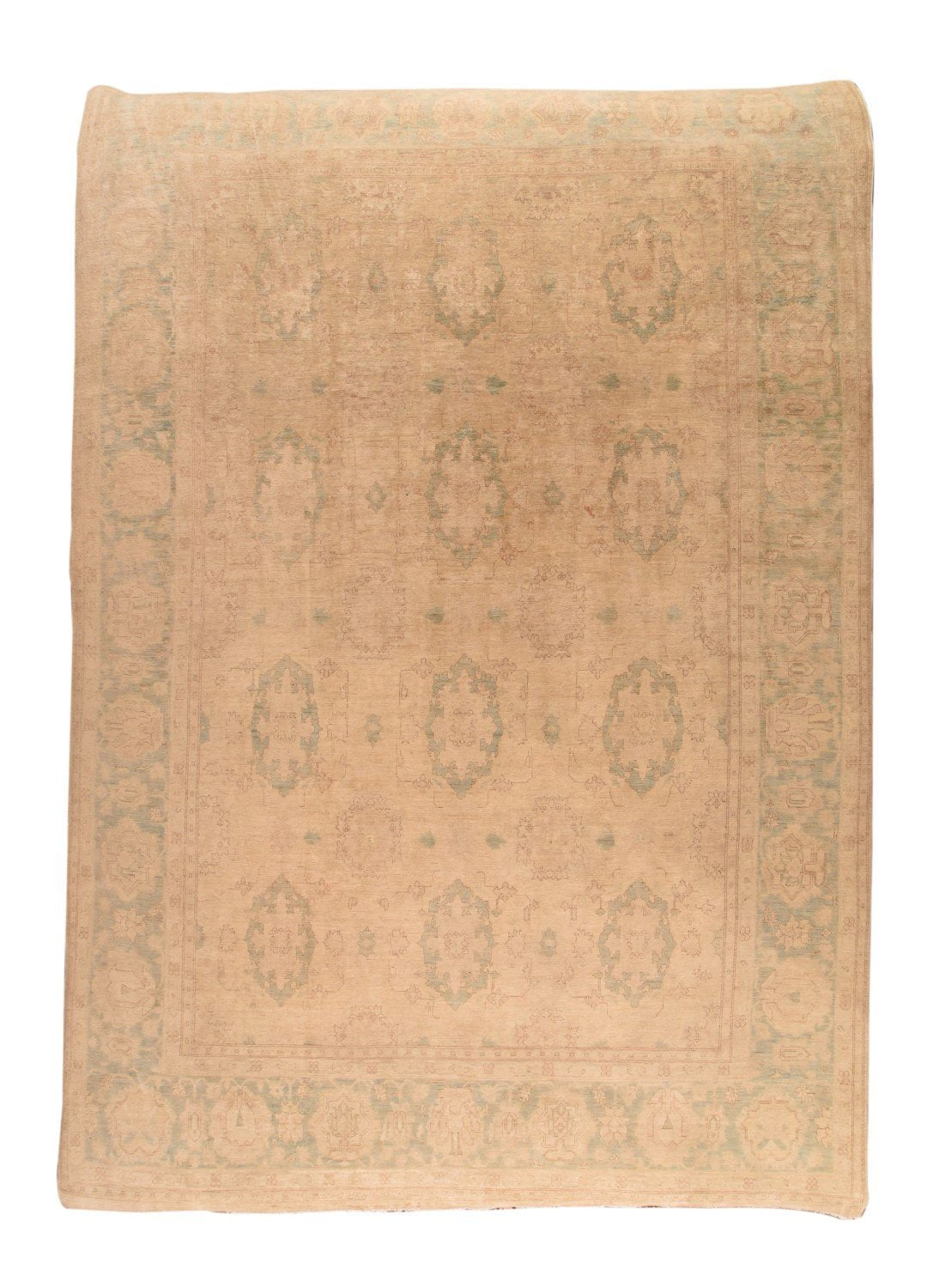 Area Rug 3135