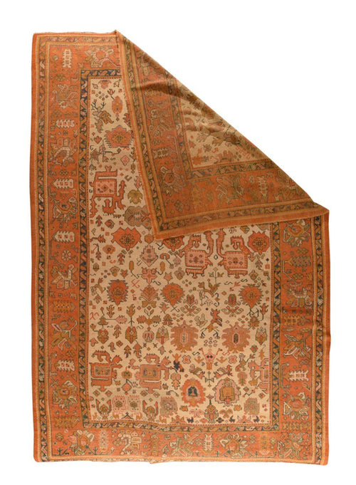 Area Rug 3141