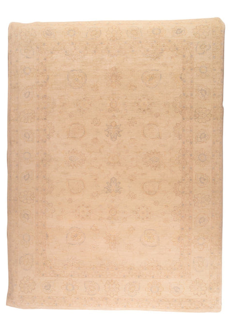 Area Rug 3147