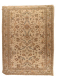 Area Rug 3149