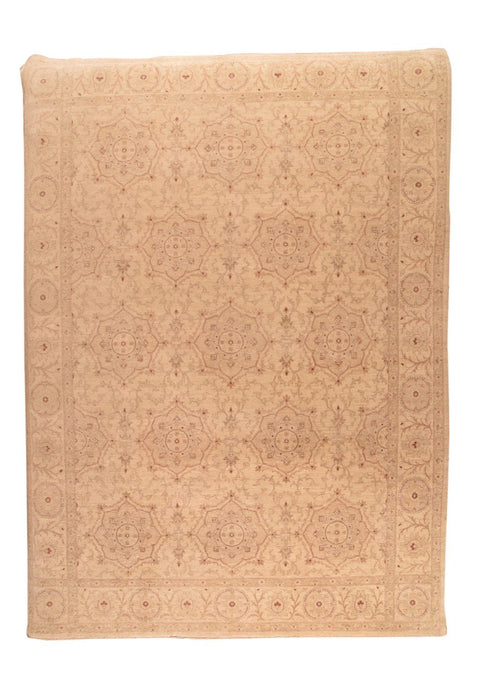 Area Rug 3160