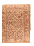 Area Rug 3164