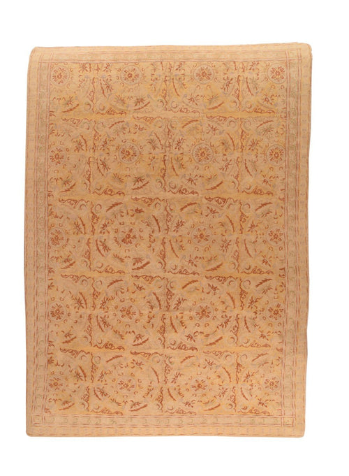 Area Rug 3172