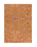 Area Rug 3176