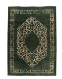 Area Rug 3207