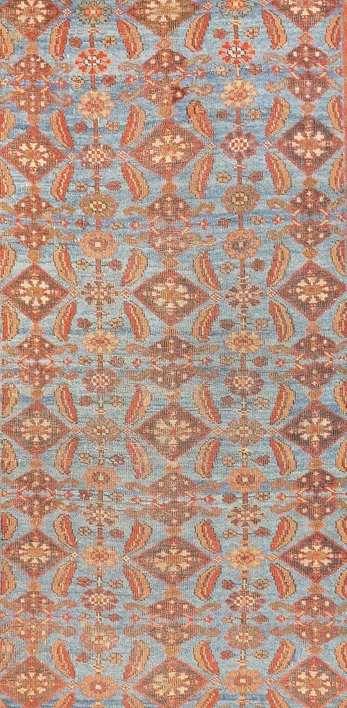 Area Rug 4006